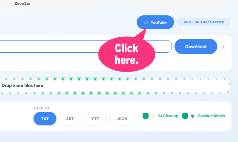 Clicking the YouTube toggle in ZoopZip