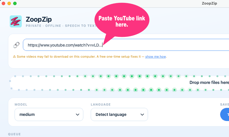 Pasting a YouTube link into ZoopZip